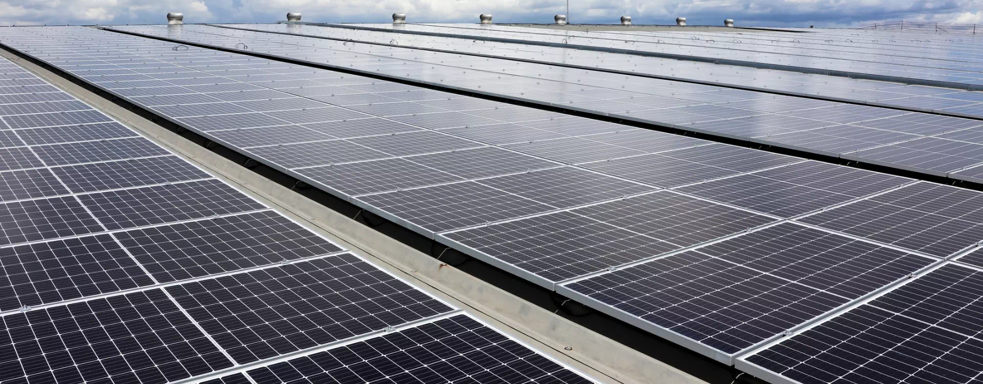 Pole paneli fotowoltaicznych